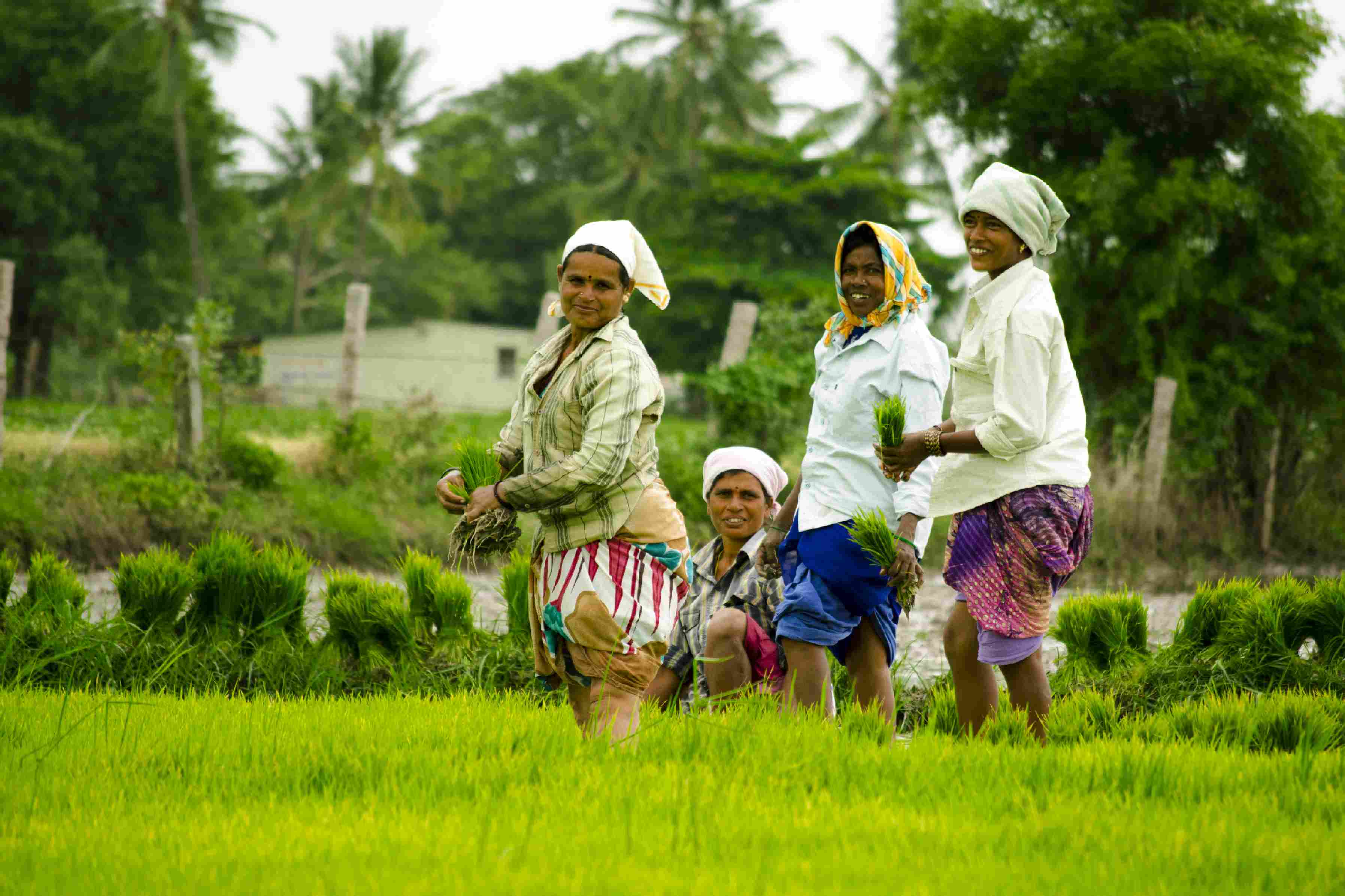 Photography by Surya Teja